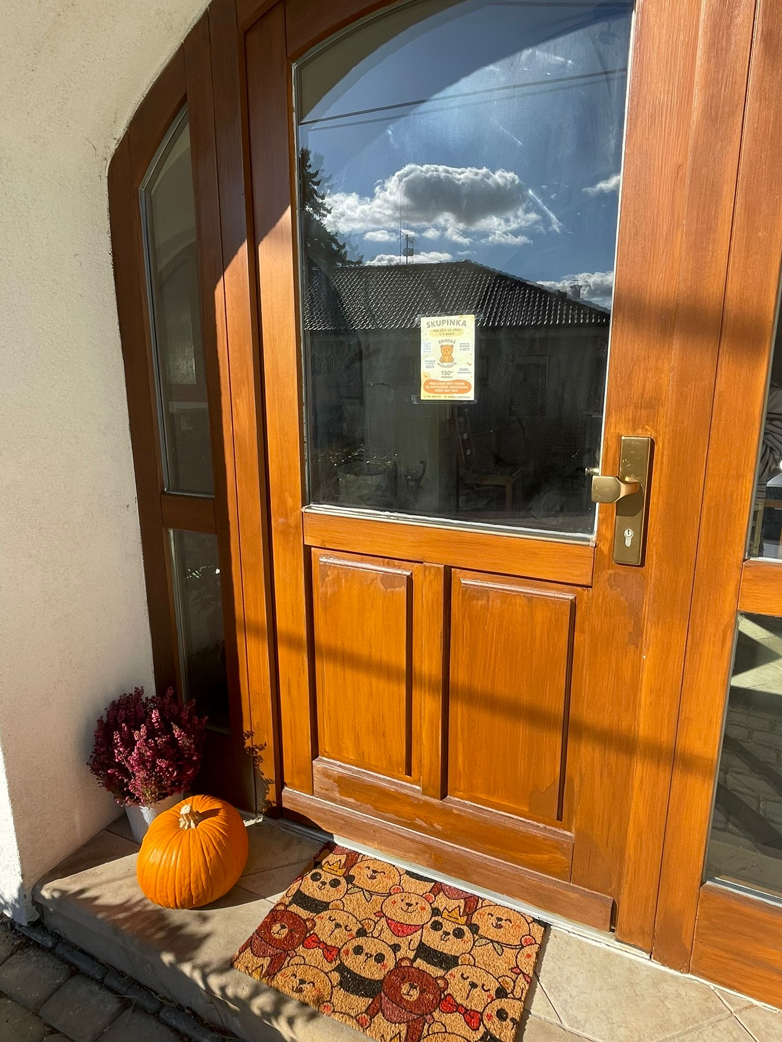 Vstupní dveře